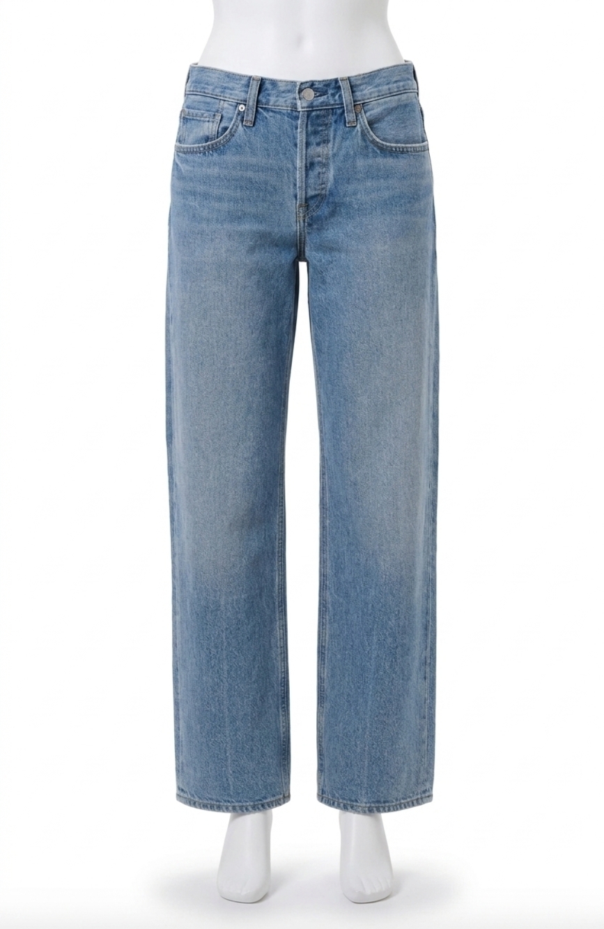 NEW AGOLDE low rise loose jean in vault